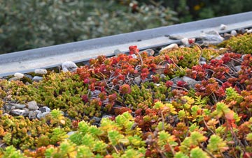 the cost of Stalbridge Weston green roof installation