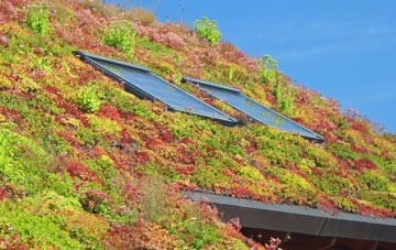 Stalbridge Weston living roof systems