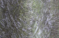 Stalbridge Weston fibreglass roof work